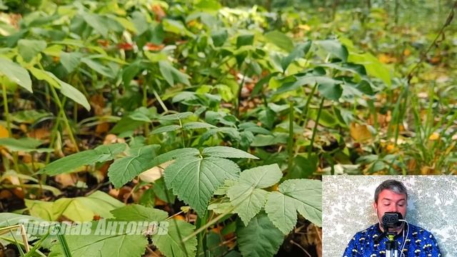 Если ты Yйдeшь. Жизнеутверждающие рассказы
