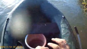 Супер рыбалка на реке Протока село Слободка  Сомы, рыбцы , караси. Краснодарский край.