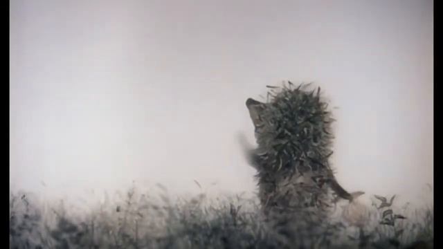 Ёжик в тумане-RYTP