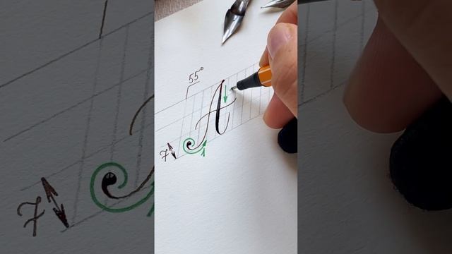 Пишем букву А. Пропись можно скачать в моем телеграмм-канале: nikolietta_calligraphy❤️ #каллиграфия смотреть онлайн