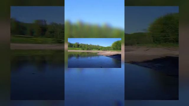 поездка к лесному озеру. рыбалка на озере..ловля карася. влог смотреть онлайн