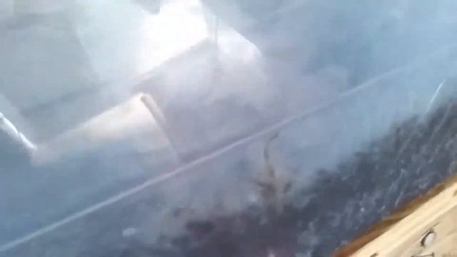 My indoor worm bin. смотреть онлайн