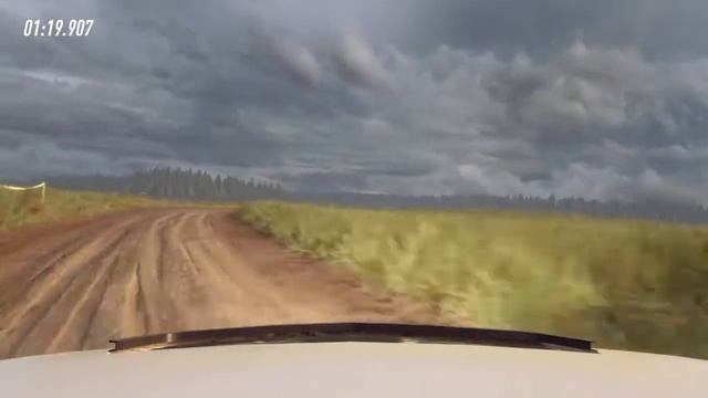 DiRT Rally 2.0 | Poland | Jezioro Lukie | Ford Fiesta R5 MK2 | World Record смотреть онлайн