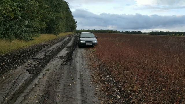 Дерево упало на дорогу смотреть онлайн