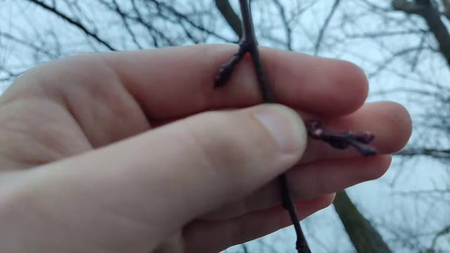 25/02/2022. Очередной теплый день. Температура воздуха +15°С. смотреть онлайн