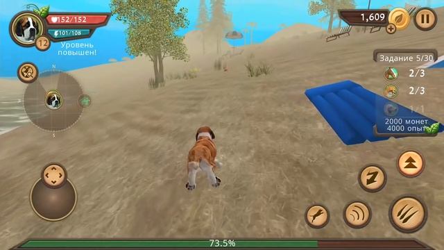 Dog Sim #4. Родился ЩЕНОК. Симулятор собаки онлайн. Прохождение