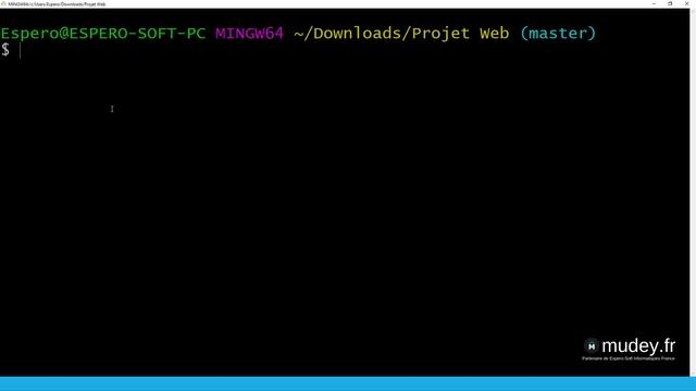 Mudey Formation | Cours 9 Git Mise en place de dépôt distant смотреть онлайн