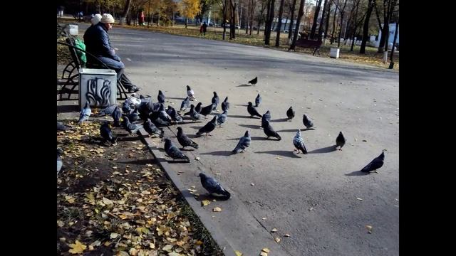 Как интересно провести осень? | Больше 30 идей и планов ^^ смотреть онлайн