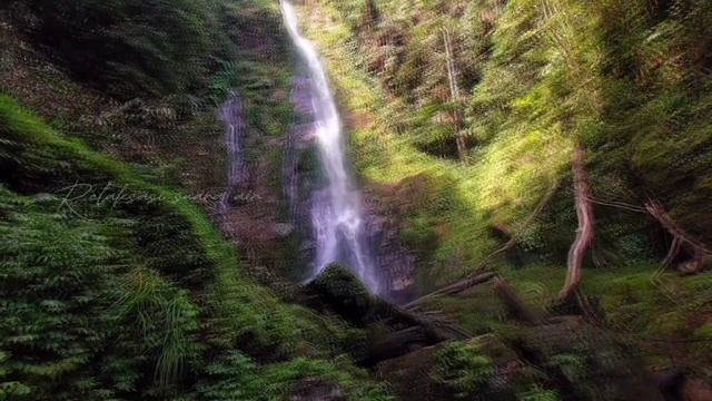 Waterfalls And Beautiful Birdsong Provide Positive And Optimistic Energy
