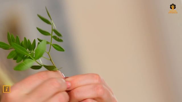 Сделано в Кузбассе: Создание букета из овощей и фруктов смотреть онлайн