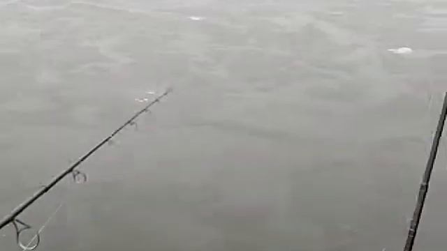 Video-2011-11-19-10-45-39.mp4