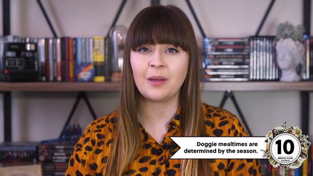 22 Pieces of Medieval Pet Advice смотреть онлайн
