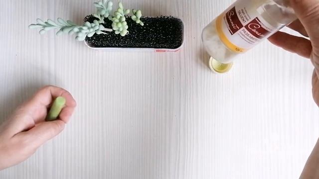 Суккулент из холодного фарфора. Cold Porcelain Succulents