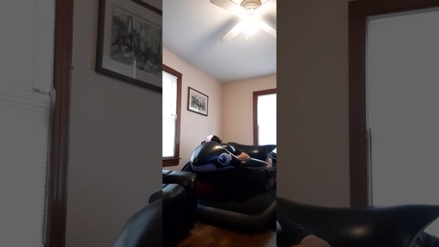 Inflatable Whale Popping Ride