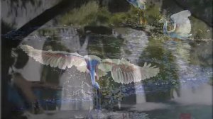 Китайская вышивка шёлком