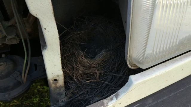 Гнездо "кукушки"! смотреть онлайн