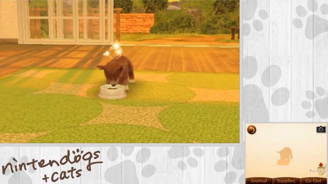 Nintendogs + Cats Gameplay Walkthrough w/ Ardy | HD | Part 5: I WIN смотреть онлайн