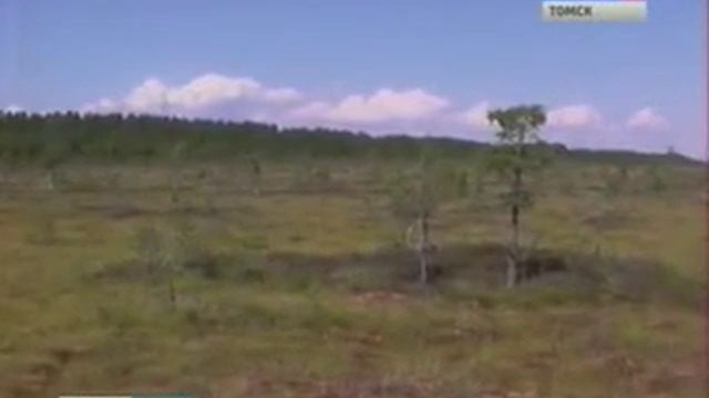 Томские ученые создали новый сорбент, который эффективно и безопасно удаляет нефть с воды смотреть онлайн