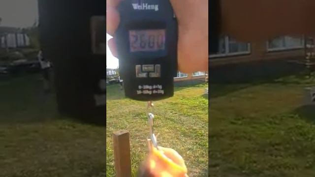 В Триале. смотреть онлайн