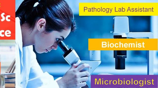 Career in Pathology (Diagnostic) смотреть онлайн