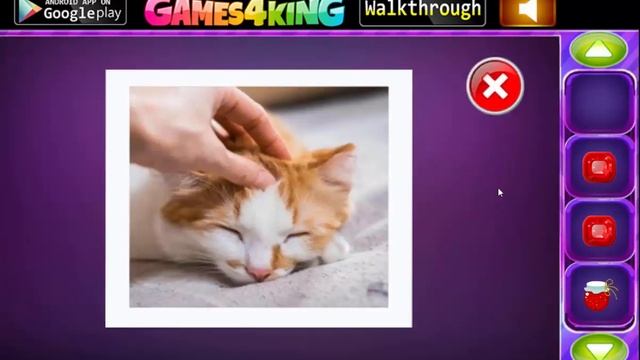 G4K Splendid Pig Escape Game Walkthrough