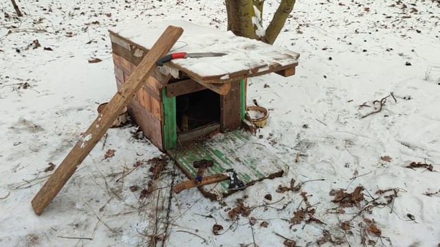 Когда к зиме хороший хозяин у собачек и чиновник-мэр-губернатор у людей- можно и за ухом почесать!