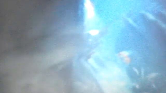 Crazy Frog 2 смотреть онлайн