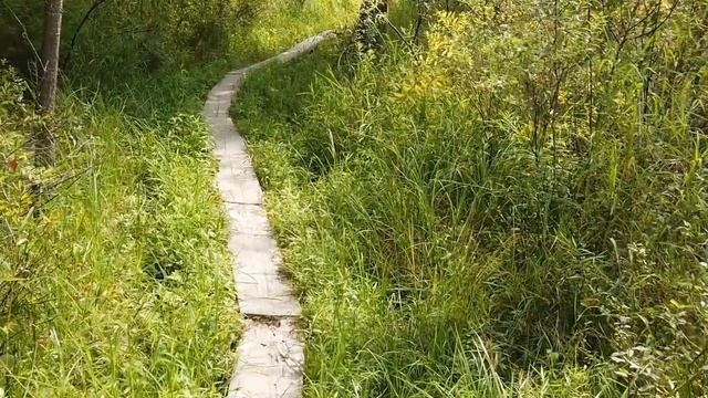 Воскресная школа. Церковная жизнь. смотреть онлайн