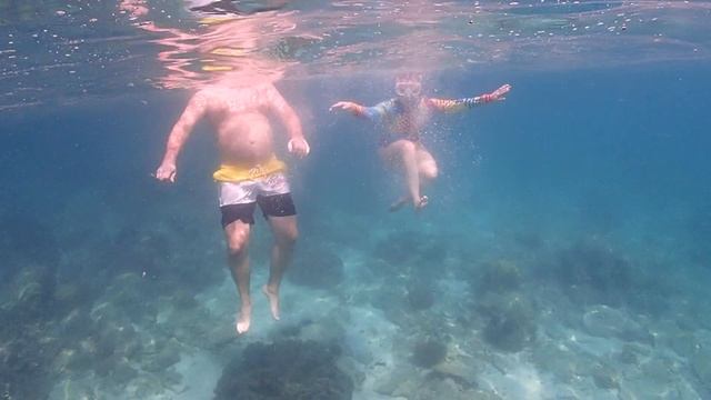 Underwater Odyssey snorkeling Pattaya - экскурсия Подводная Одиссея в Паттайе 24-02-2023 часть 13 смотреть онлайн