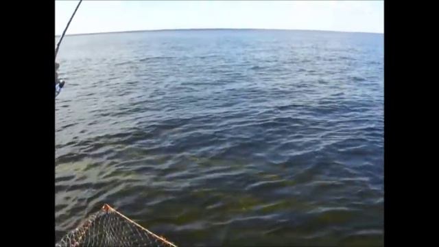 Ladoga pike смотреть онлайн