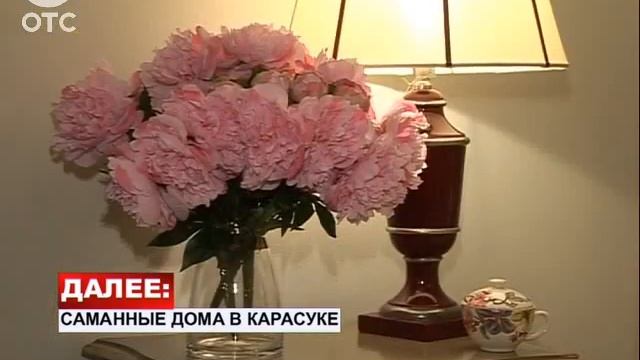 25% новосибирцев видят во сне кошмары о работе смотреть онлайн