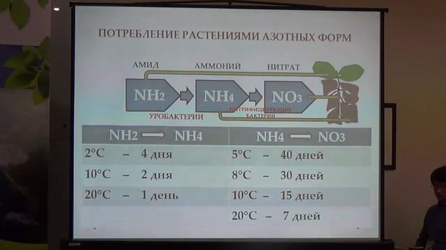 Особенности выращивания озимой пшеницы по технологии прямого посева, система питания (Елена Дудкина смотреть онлайн