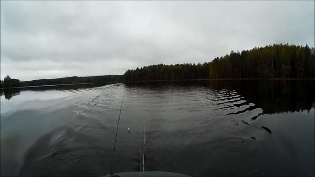 рыбалка на новом водоёме.fishing.рыбалка в Карелии смотреть онлайн
