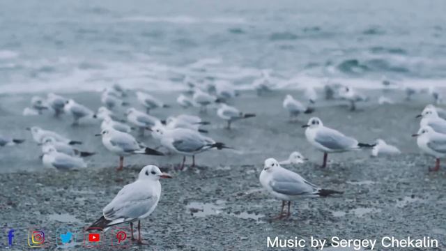 Такая красивая мелодия, что я плачу слушая... Шедевр. Music Sergey Chekalin. Musical Masterpiece.