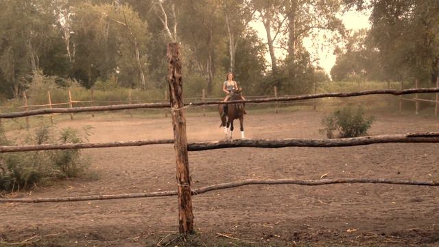 День Лошади смотреть онлайн