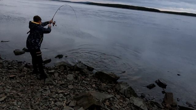 Ловля горбуши в Умбе Кандалакше вот это мы порыбачили смотреть онлайн
