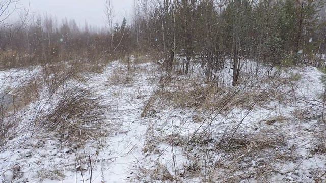 "Уже совсем далеко ушли с птицами." смотреть онлайн