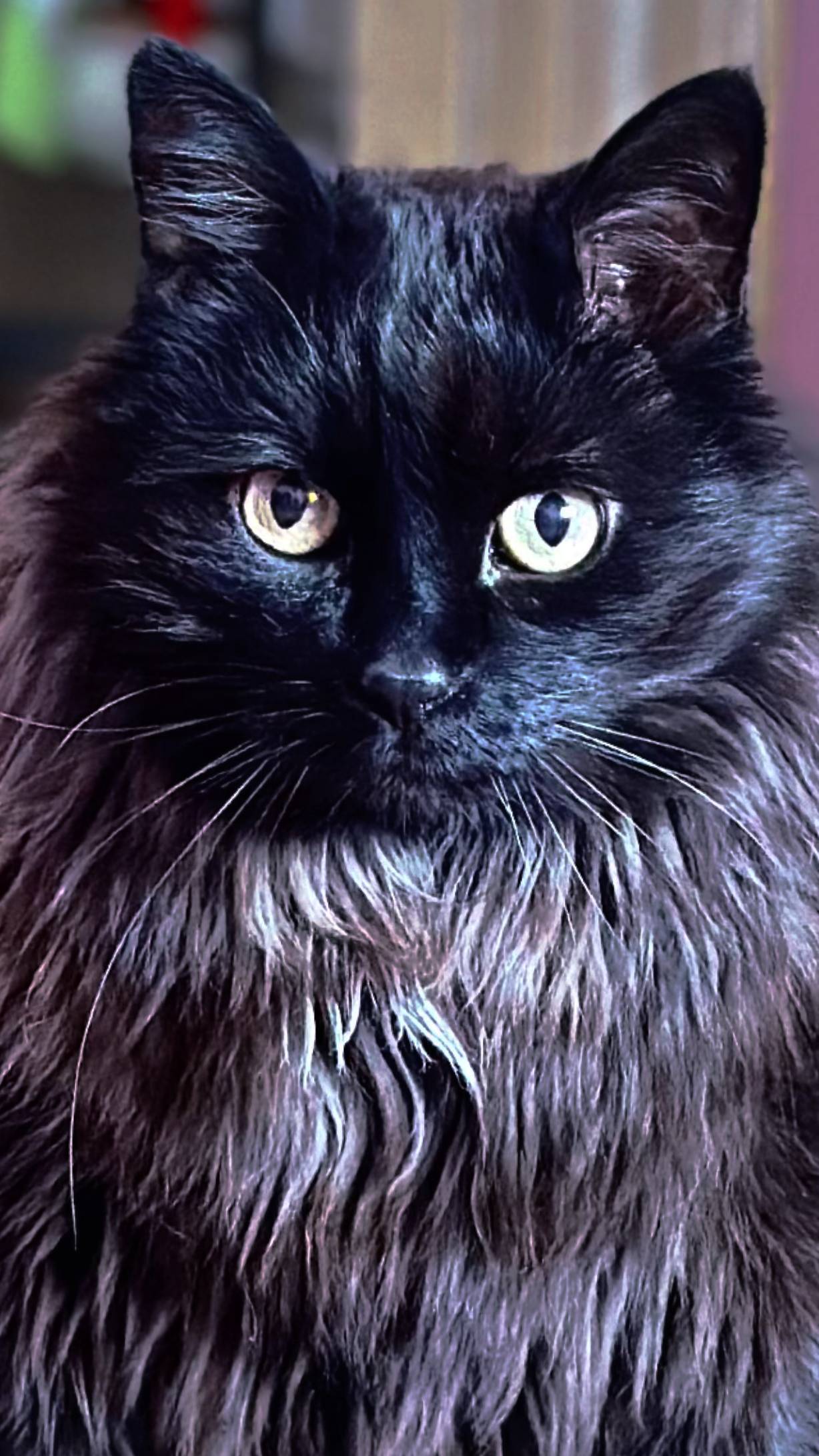 Что делать, если день не задался?