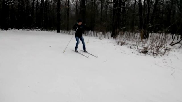 Спуск на лыжах)