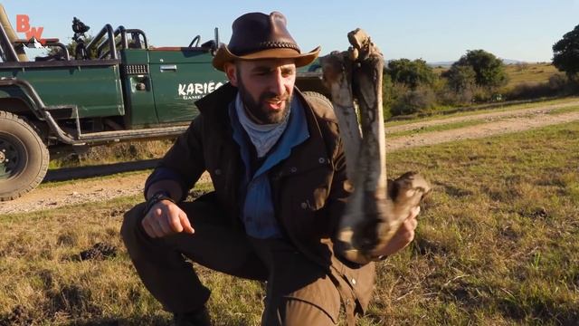 В ПОИСКАХ ПРАЙДА ЛЬВОВ / ВСТРЕЧА С КОРОЛЁМ ЛЬВОМ / Койот Питерсон на русском смотреть онлайн