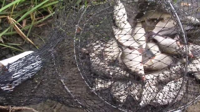 Рыбалка на Борских озерах.Волга. смотреть онлайн