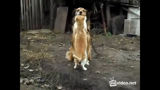 Вот что значит лучшие друзья смотреть онлайн