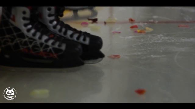 Романтическое Свидание на Крытом Катке Красная Панда Redpand ru смотреть онлайн