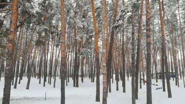 Заснеженный санаторий им. И.Г.Менжулина смотреть онлайн