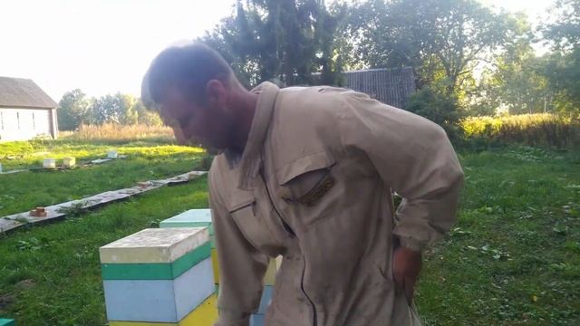 Формируем нуклесы в зиму смотреть онлайн
