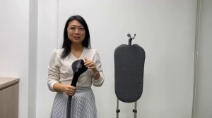 Philips Stand Steamer STE3170