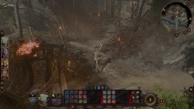 Tracking down Halsin (BALDUR'S GATE 3🎲🐉⚔) смотреть онлайн