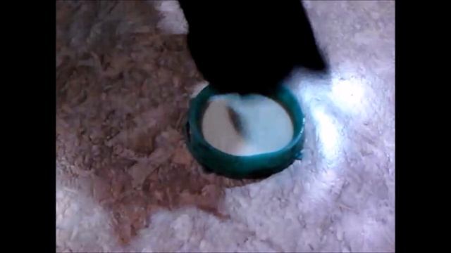 УТРО ГЛАЗАМИ КОТА смотреть онлайн