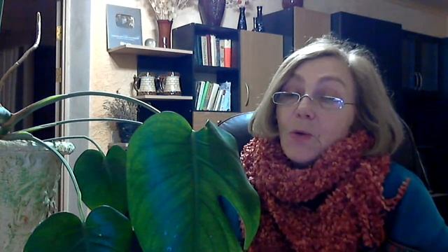 Комнатные растения наших бабушек, популярные сейчас?! смотреть онлайн